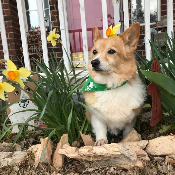 Meet your Posher, Karen - Picture 5 of 8